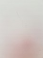 ac673d9845a7898e2203437bf1e07298.jpg