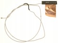 cd44b4afcec1cdca8ab5afcb6923efe4.jpg