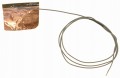 41de6d16201ca78ee576f60b7b8db606.jpg