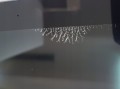c437b2e242278190ebb01ed147e83c8c.jpg