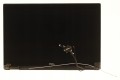 64dd582f19cab9dc382332ce228b8e22.jpg