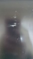 feadc36874710eb67a19d3d542d7dd57.jpg