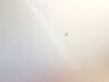5f7487a7d67e9880741d0dc41aef1062.jpg