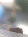 c737169e241007d23e747150c1266b87.jpg