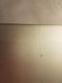 bf98a6d38a13a4f6caa75692e60392bc.jpg