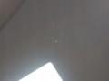 1166a7deb73aef117b00828af1239de9.jpg