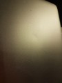 f42062e67c0952953076a5b3ee0388b1.jpg