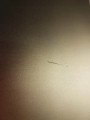 d2ad032a7677489fff19b85d77636d0e.jpg